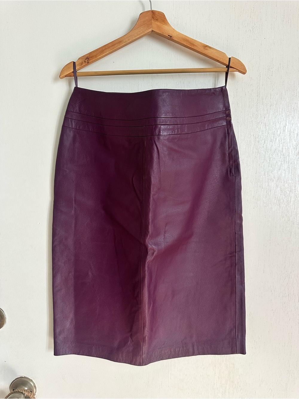 Spiegel Leather Pencil Skirt in Plum